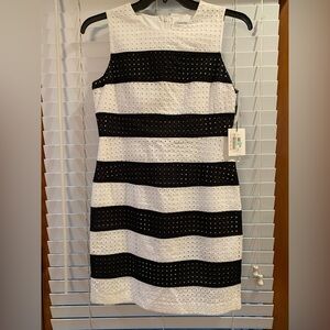 Calvin Klein Cotton Sheath Dress Women 8P Eyelet White Black Striped Lined NWT